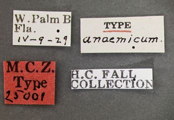 Media type: image;   Entomology 25001 Aspect: labels